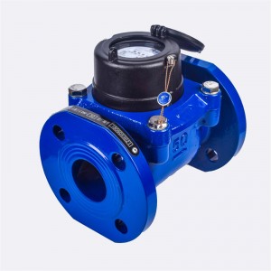 Removeable Horizontal Dry type Woltman Water Meter